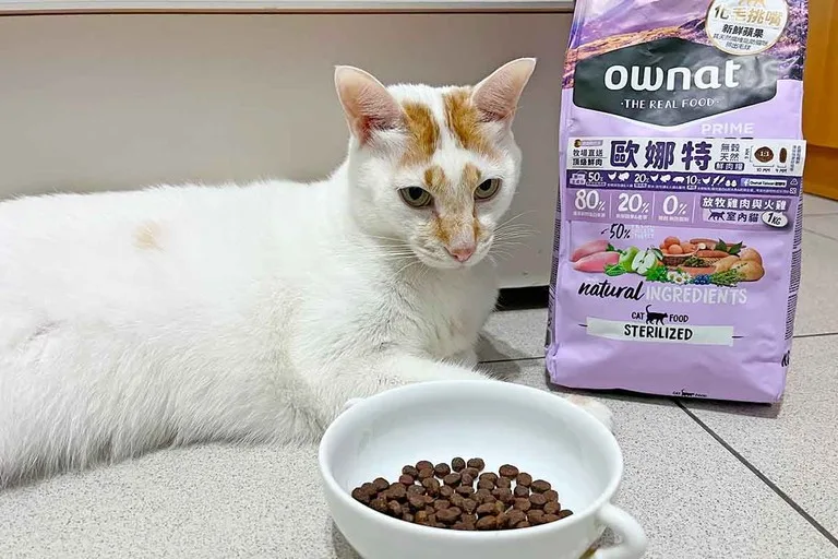 歐娜特飼料 貓咪飼料評價 